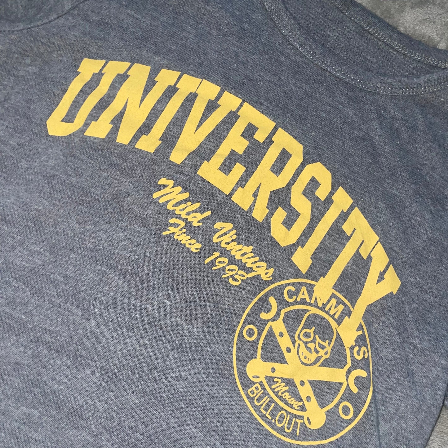 University graphic long sleeve